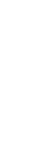 日常の中でひらく美しさ　傘